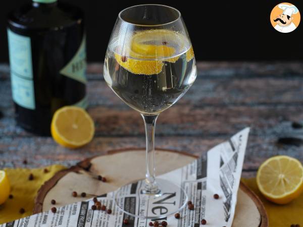 Gin Tonic, olennainen aperitiivicocktail! - kuva 3