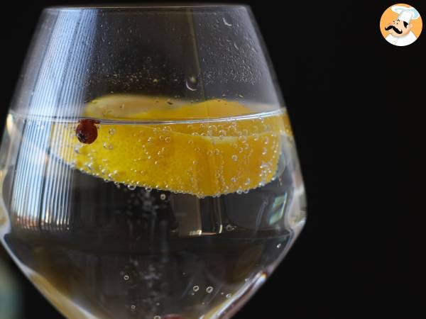 Gin Tonic, olennainen aperitiivicocktail! - kuva 5